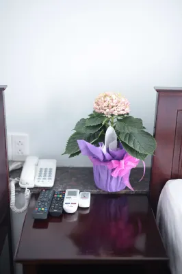 Gia Hoa Airport Hotel Photos
