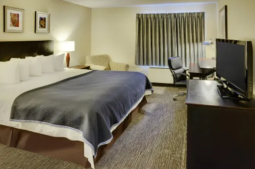 Quality Inn Photos