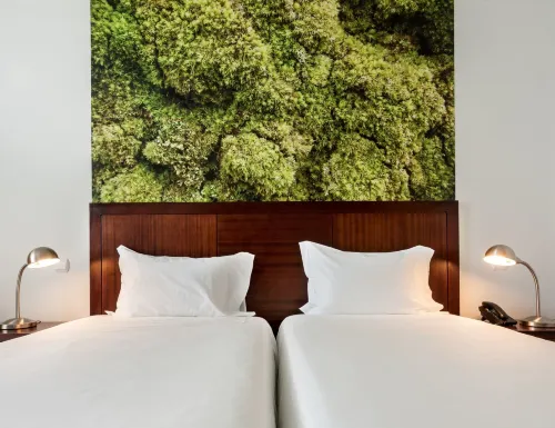 Neat Hotel Avenida Photos