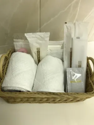Ogaki Forum Hotel Photos