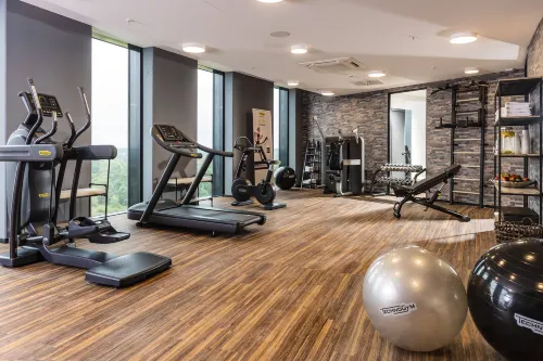 Airport Plaza Hotel Hamburg Leisure & Recreation Photos