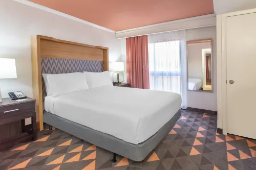 Holiday Inn & Suites Boca Raton - North Photos