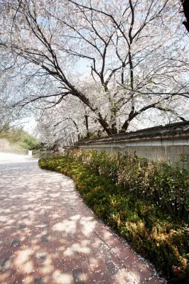 Grand Hyatt Seoul Dekat Hotel Photos