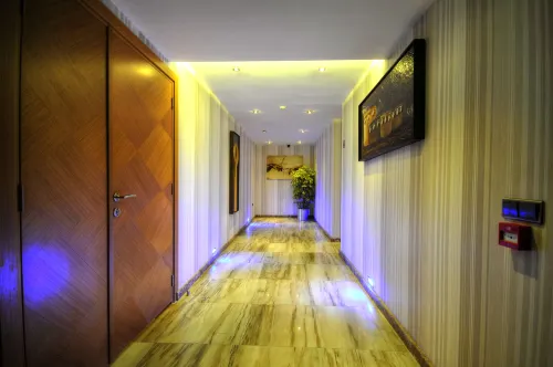 Golden Deluxe Hotel Aree comuni Photos