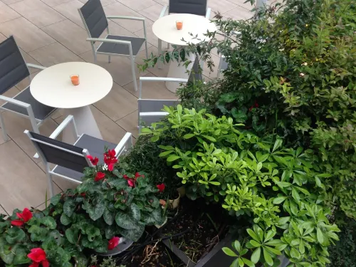 Hilton Garden Inn Milan North الأماكن العامة Photos