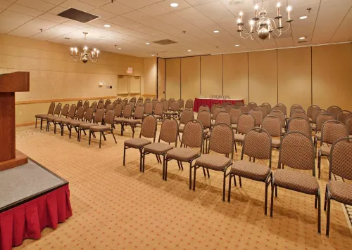 Holiday Inn St Louis SW - Route 66 Business Facilities Photos