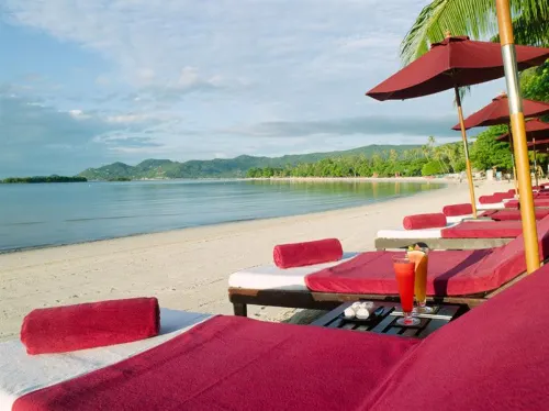 The Briza Beach Resort, Samui À proximité de l'hôtel Photos