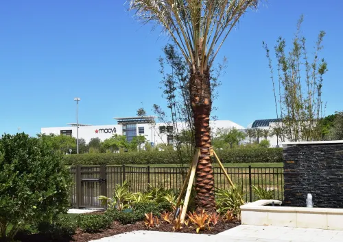 Residence Inn Orlando at Millenia Extérieur Photos