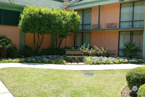 Best Western Charleston Inn Esterni Photos