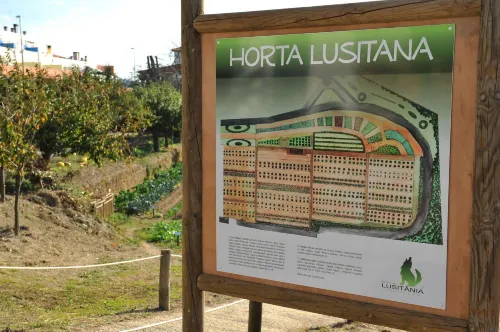 Hotel Lusitania Congress & Spa Photos