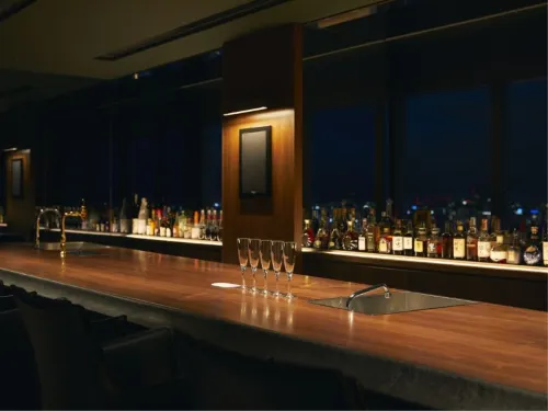Art Hotel Osaka Bay Tower Relaksasi & Rekreasi Photos