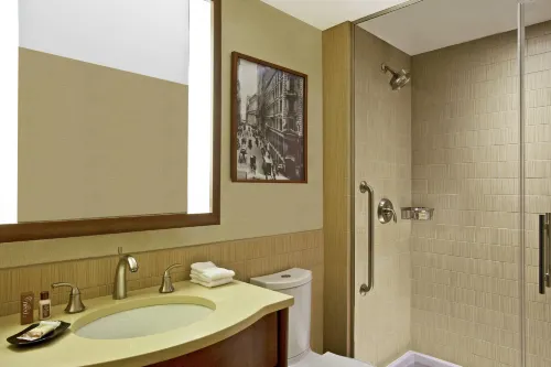 Sheraton Tribeca New York Hotel Chambres Photos