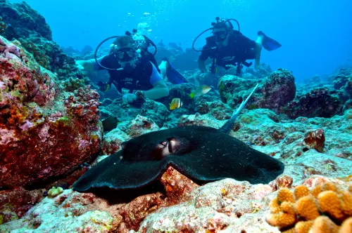 Holiday Inn Resort Kandooma Maldives - Kids Stay and Eat Free Photos