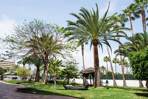 AxelBeach Maspalomas - Apartments and Lounge Club - Adults Only Featured Photos