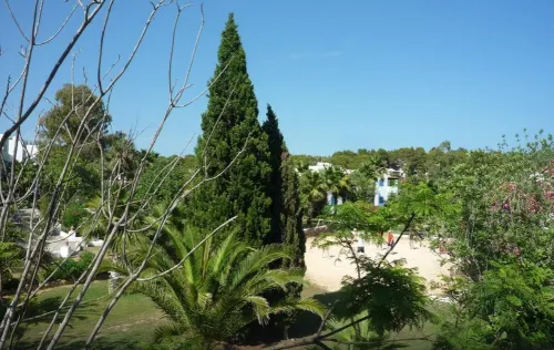 Cala Llenya Resort Ibiza Near Hotel Photos