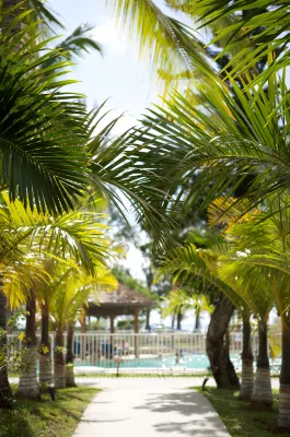 Hotel le Recif Espaces publics Photos