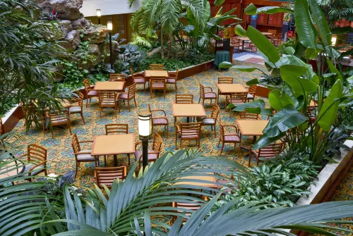 Embassy Suites by Hilton Chicago O'Hare Rosemont Dining Photos