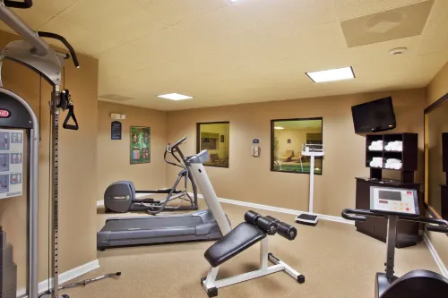 Holiday Inn Express & Suites Atlanta-Emory University Area Leisure & Recreation Photos