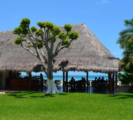 Beachscape KIN Ha Villas & Suites Общественные зоны Photos