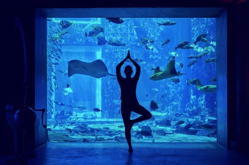 Atlantis, the Palm Photos