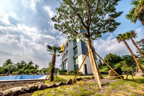 Sunrise Hotel Jungmun Branch Espaces publics Photos