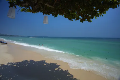 Chaweng Cove Beach Resort À proximité de l'hôtel Photos