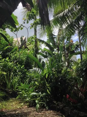 Palau Plantation Resort Esterni Photos