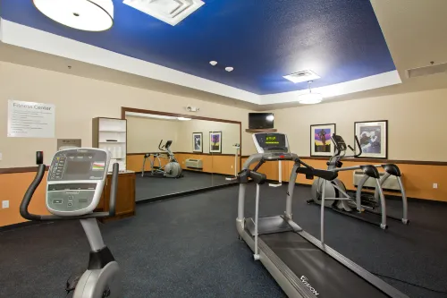 Holiday Inn Express & Suites Denver East-Peoria Street Loisirs et amusements Photos