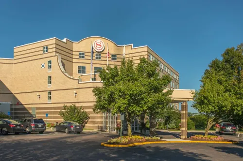 Sheraton Boston Needham Hotel Da non perdere Photos