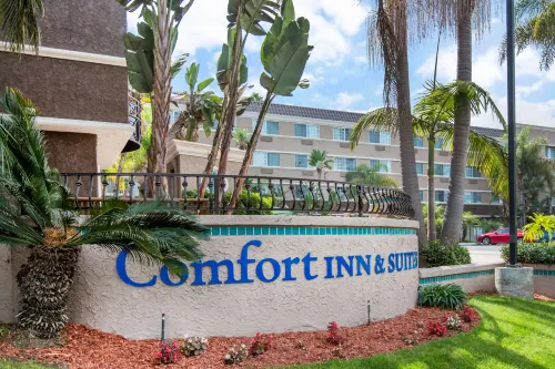 Best Western Inn & Suites San Diego – Zoo/SeaWorld Area Aree comuni Photos