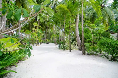 Summer Island Maldives Resort À proximité de l'hôtel Photos