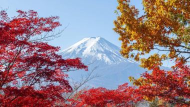 【富士山人氣打卡景點一日遊】東京自選酒店 3-7天自由行套票