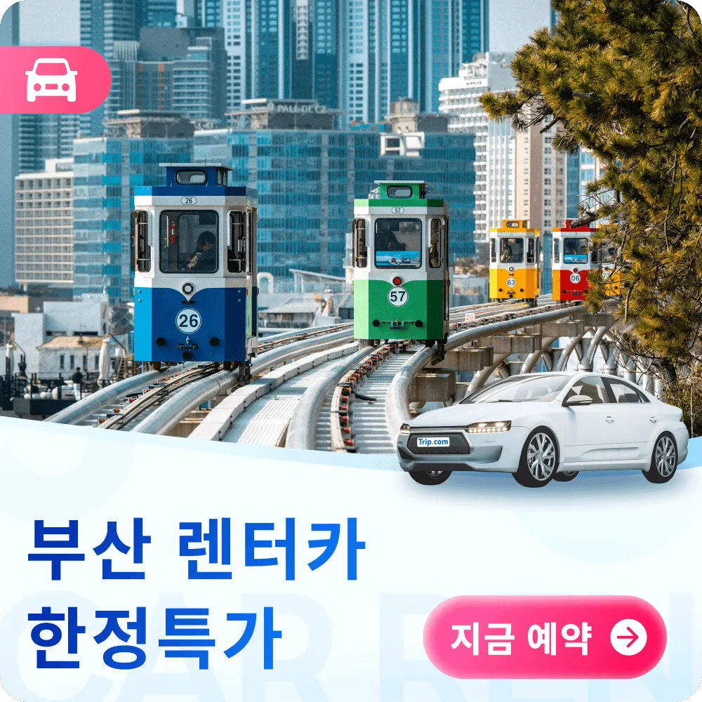 부산 렌터카 쿠폰