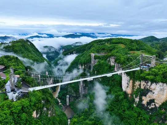 張家界大峽谷玻璃橋橫跨峽谷，橋面全透明