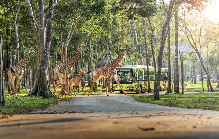 富國島珍珠野生動物園