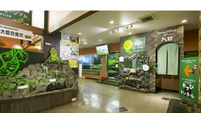 伊豆Wasabi博物館