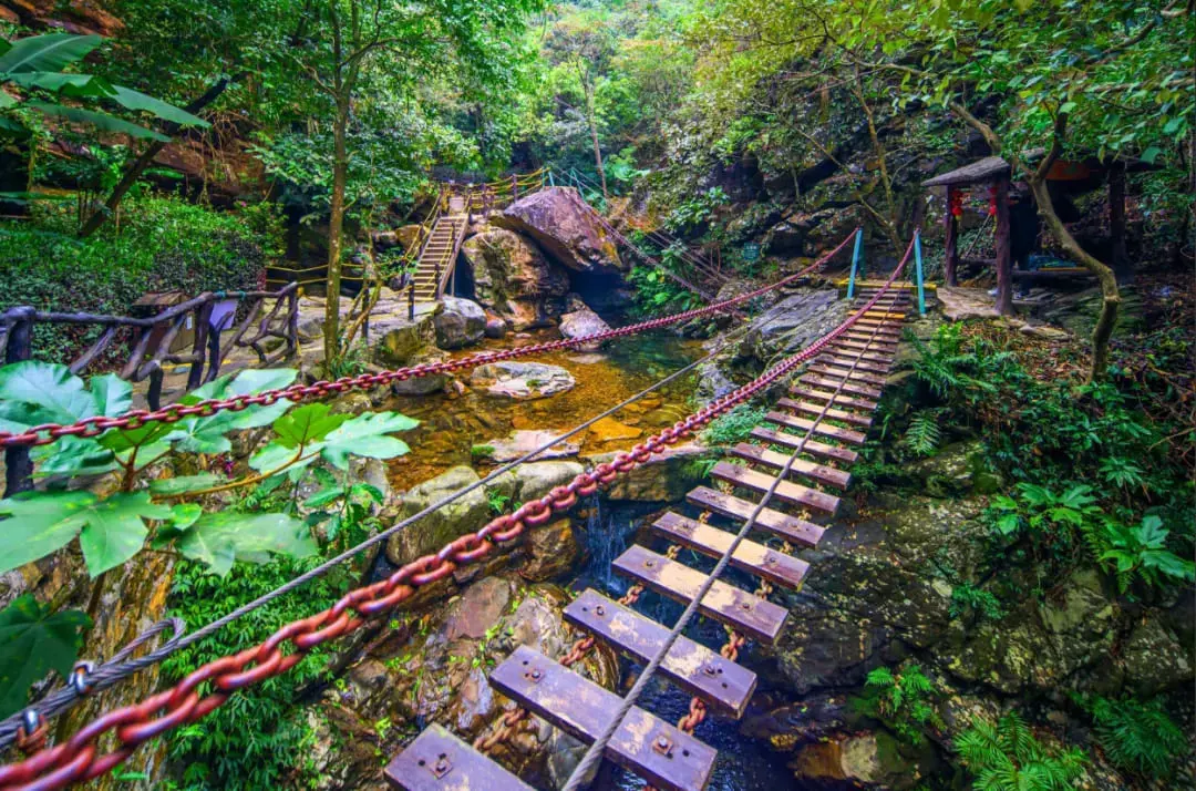 千谷溪森林公園