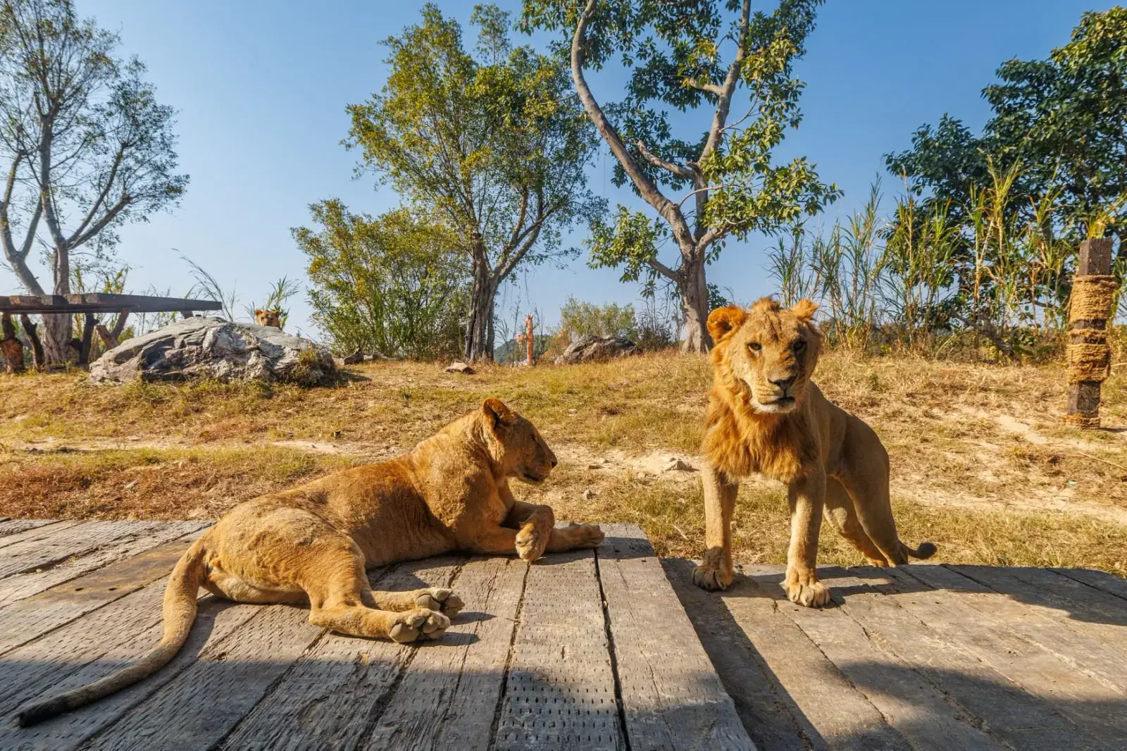 清遠長隆度假區