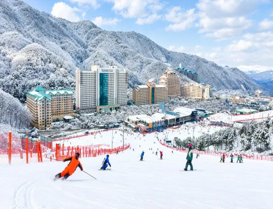 洪川郡滑雪度假村,雪季的渡假村全景 洪川郡滑雪度假村,雪季的渡假村全景