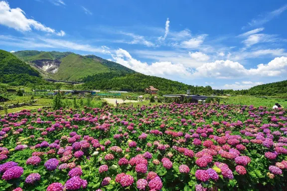 陽明山國家公園自然風光 陽明山國家公園自然風光