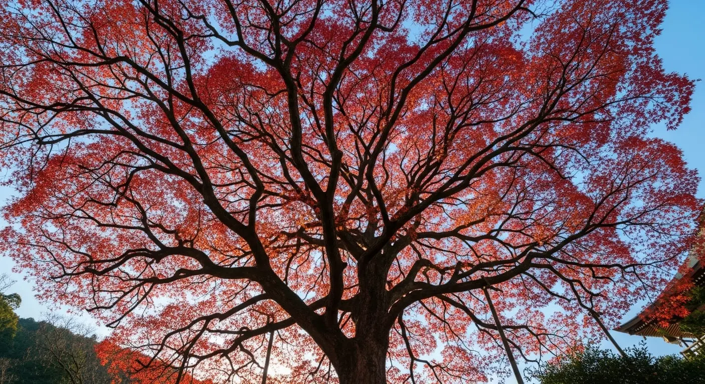 雷山千如寺大悲王院