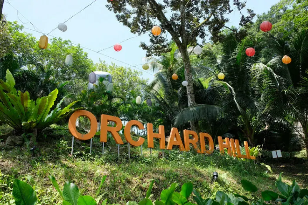 Orchard Hill果園