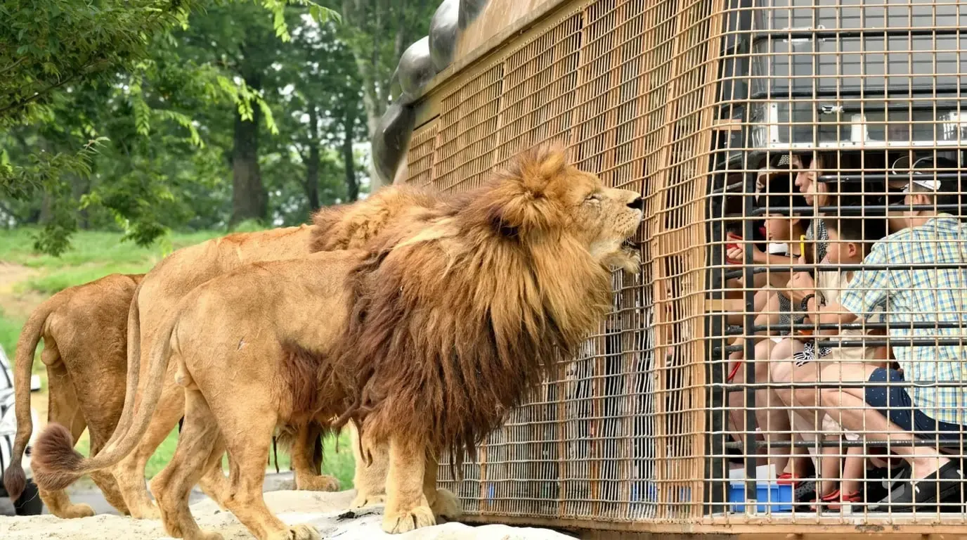 九州自然動物公園