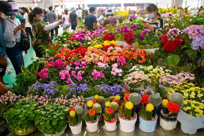 昆明鬥南花卉市場 昆明鬥南花卉市場