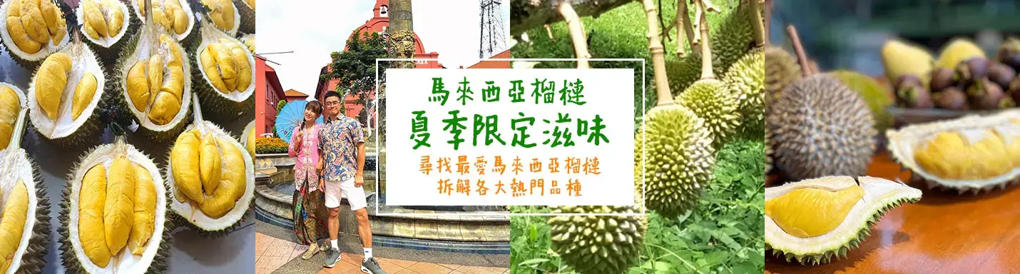 【馬來西亞榴槤】夏季限定滋味！尋找最愛馬來西亞榴槤 拆解各大熱門品種