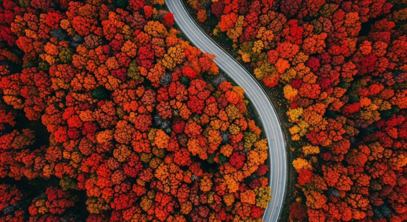 昌平區「昌赤路」