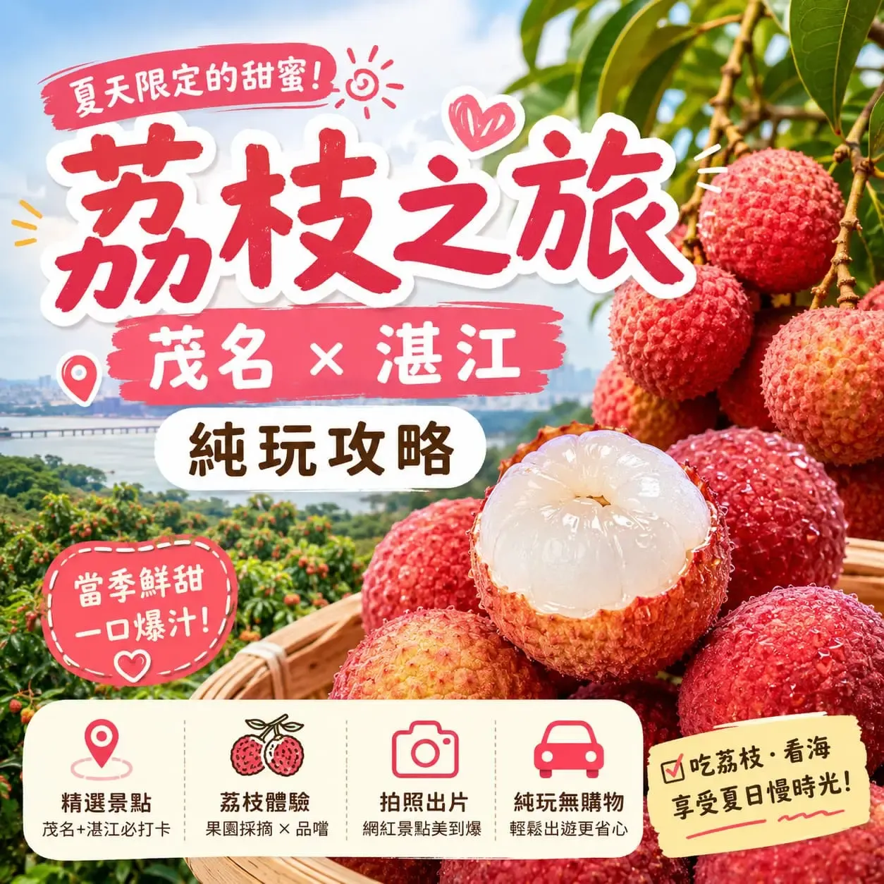 2026必去！香港出發茂名湛江荔枝純玩團攻略🍒任摘任食+打卡赤坎老街