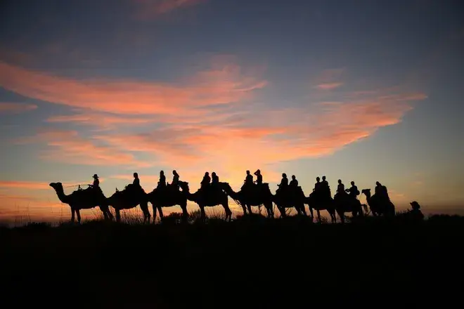 艾爾斯石騎駱駝觀壯麗日落
