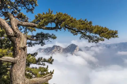 華山