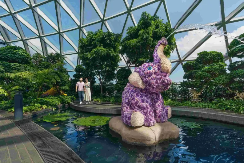 星空花園